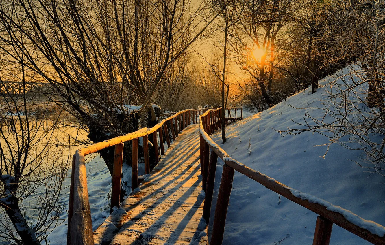 Photo wallpaper the sun, trees, sunset, river, railings, wooden, the bridge, winter evening