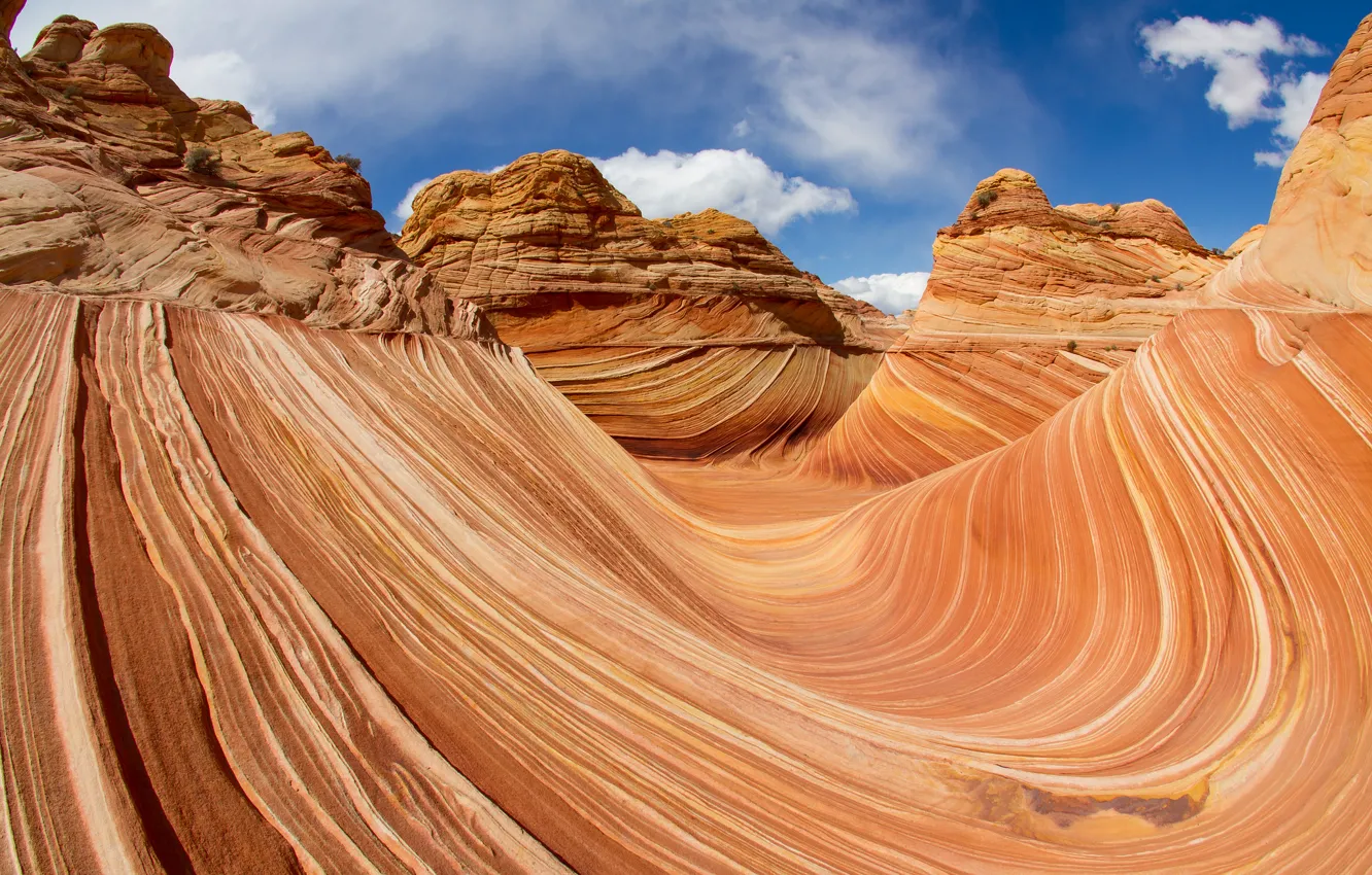 Photo wallpaper the sky, clouds, line, rocks, texture, canyon, Coyote Buttes