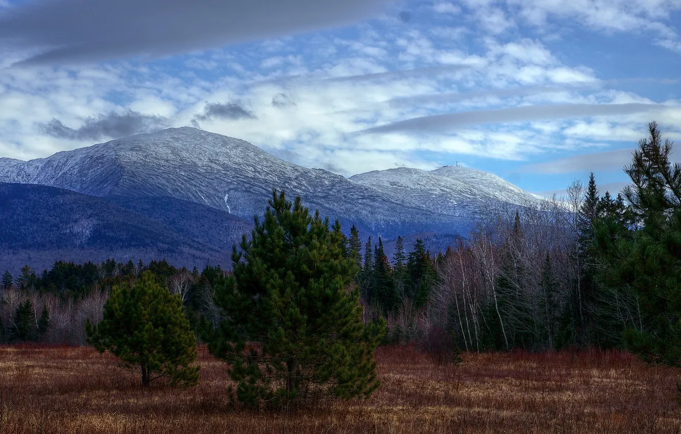 Photo wallpaper forest, the sky, trees, mountains
