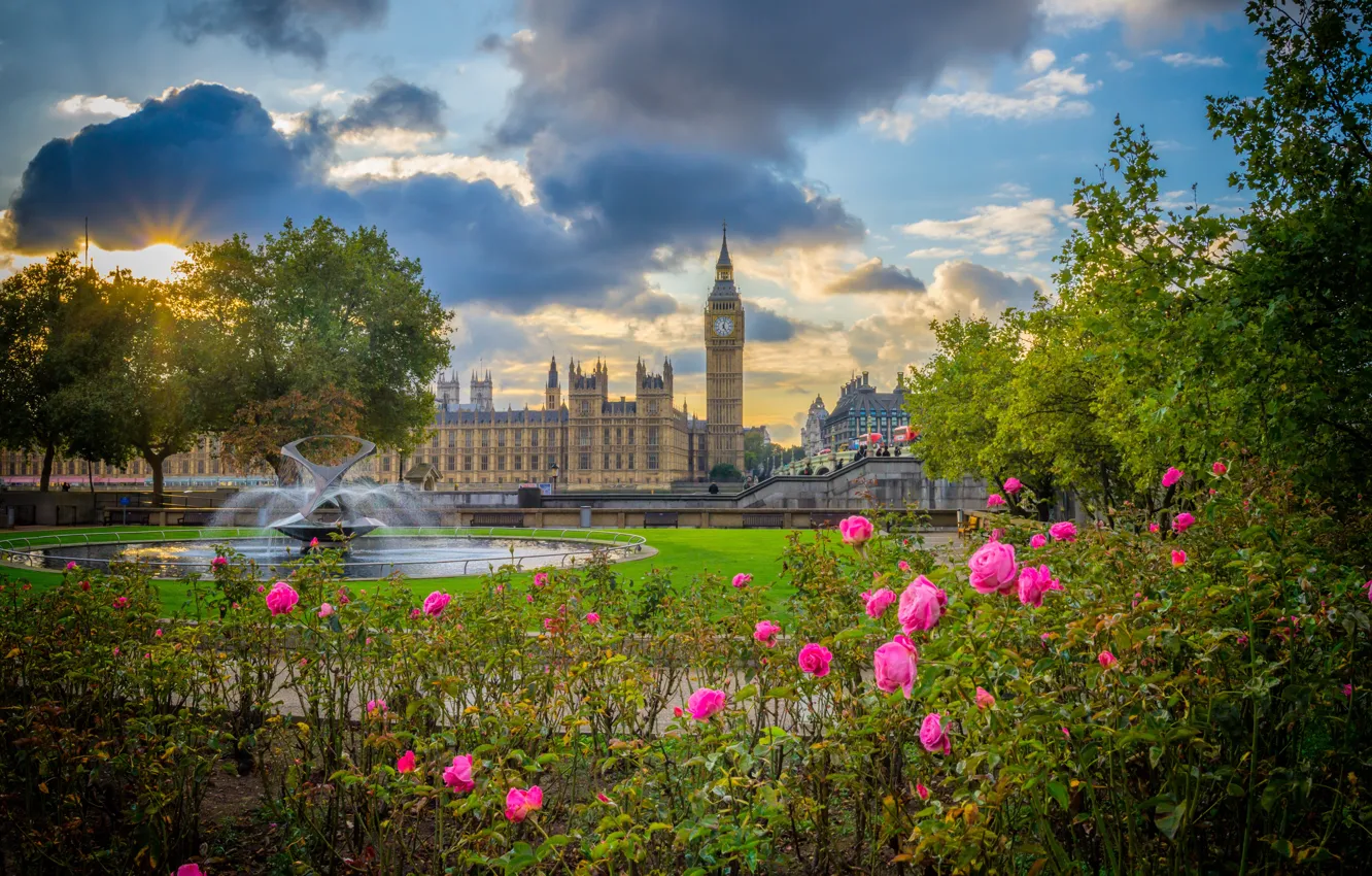 Photo wallpaper flowers, Park, England, London, roses, Big Ben, fountain, the bushes