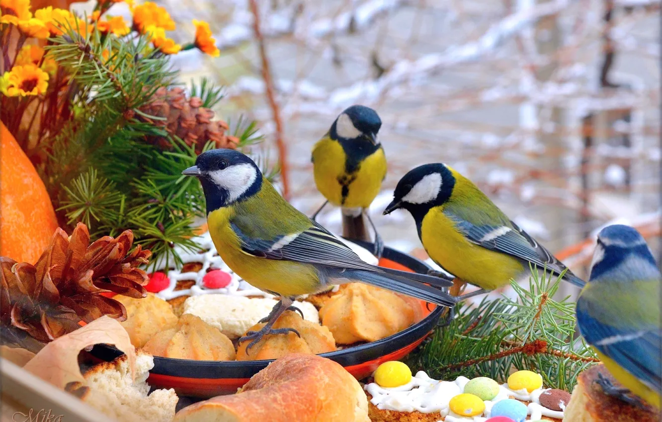 Photo wallpaper bird, flowers, birds