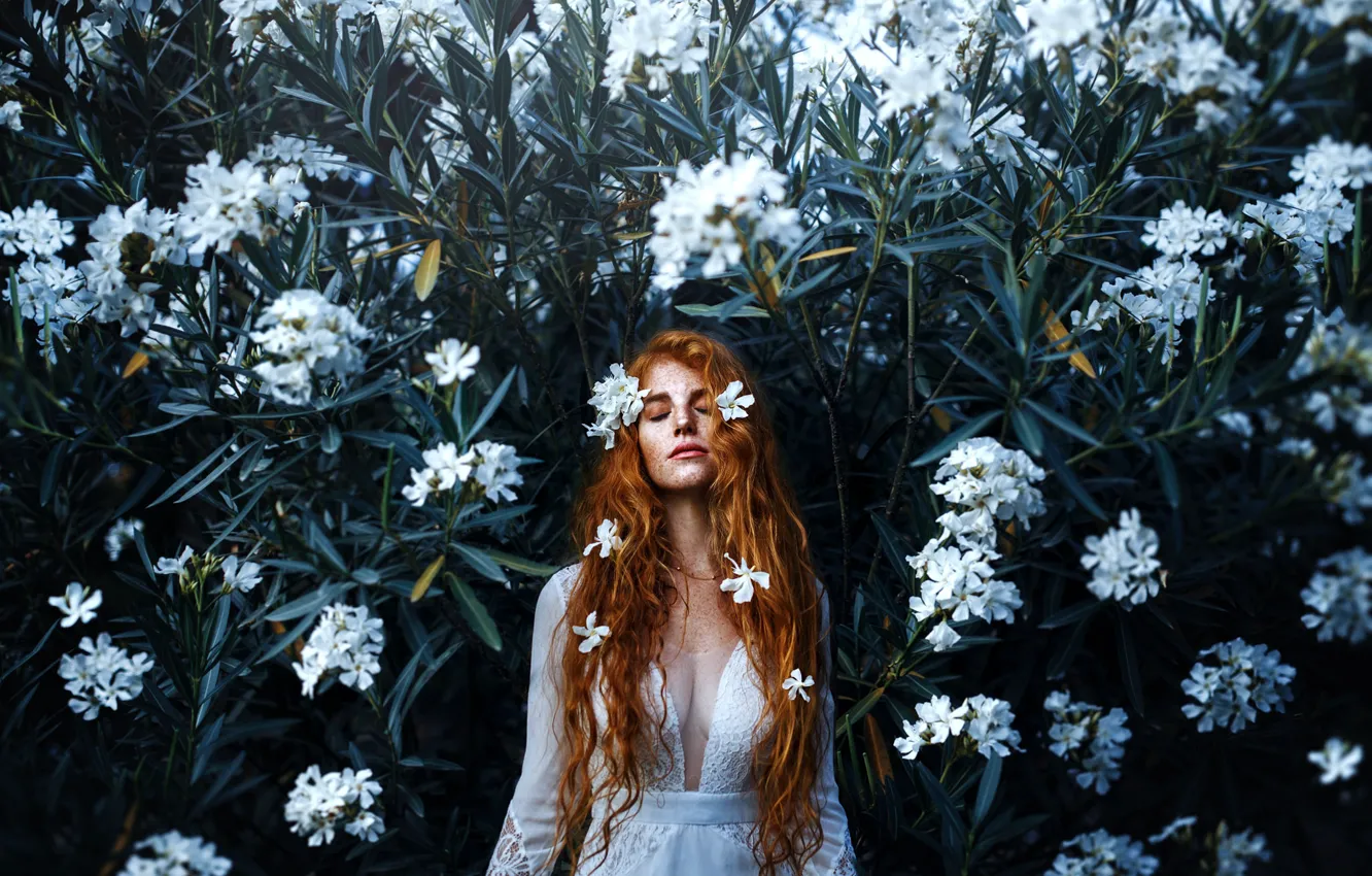Photo wallpaper girl, flowers, neckline, the beauty, redhead, Ronny Garcia, Light my soul in the white night