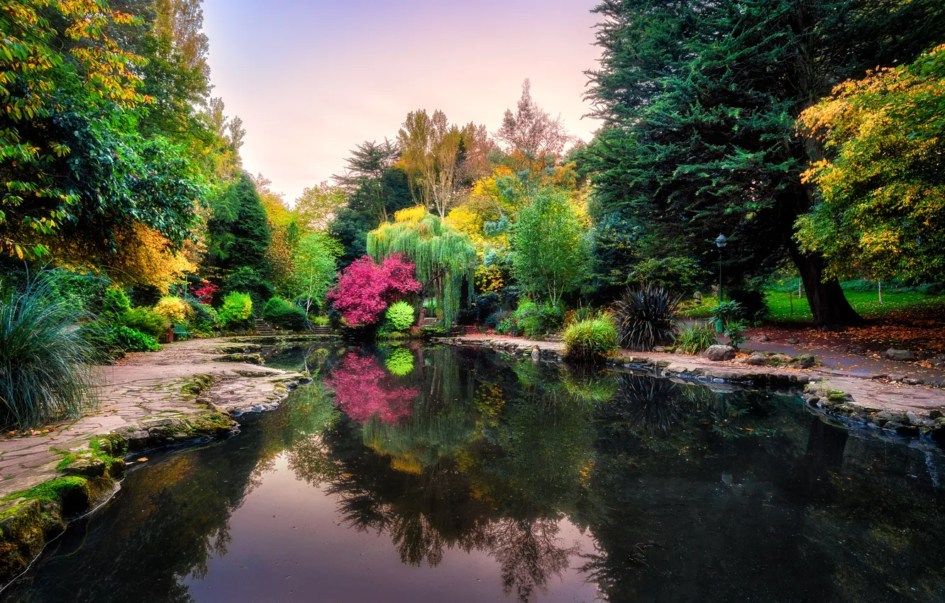 Photo wallpaper autumn, the sky, trees, bench, Park, reflection, England, mirror