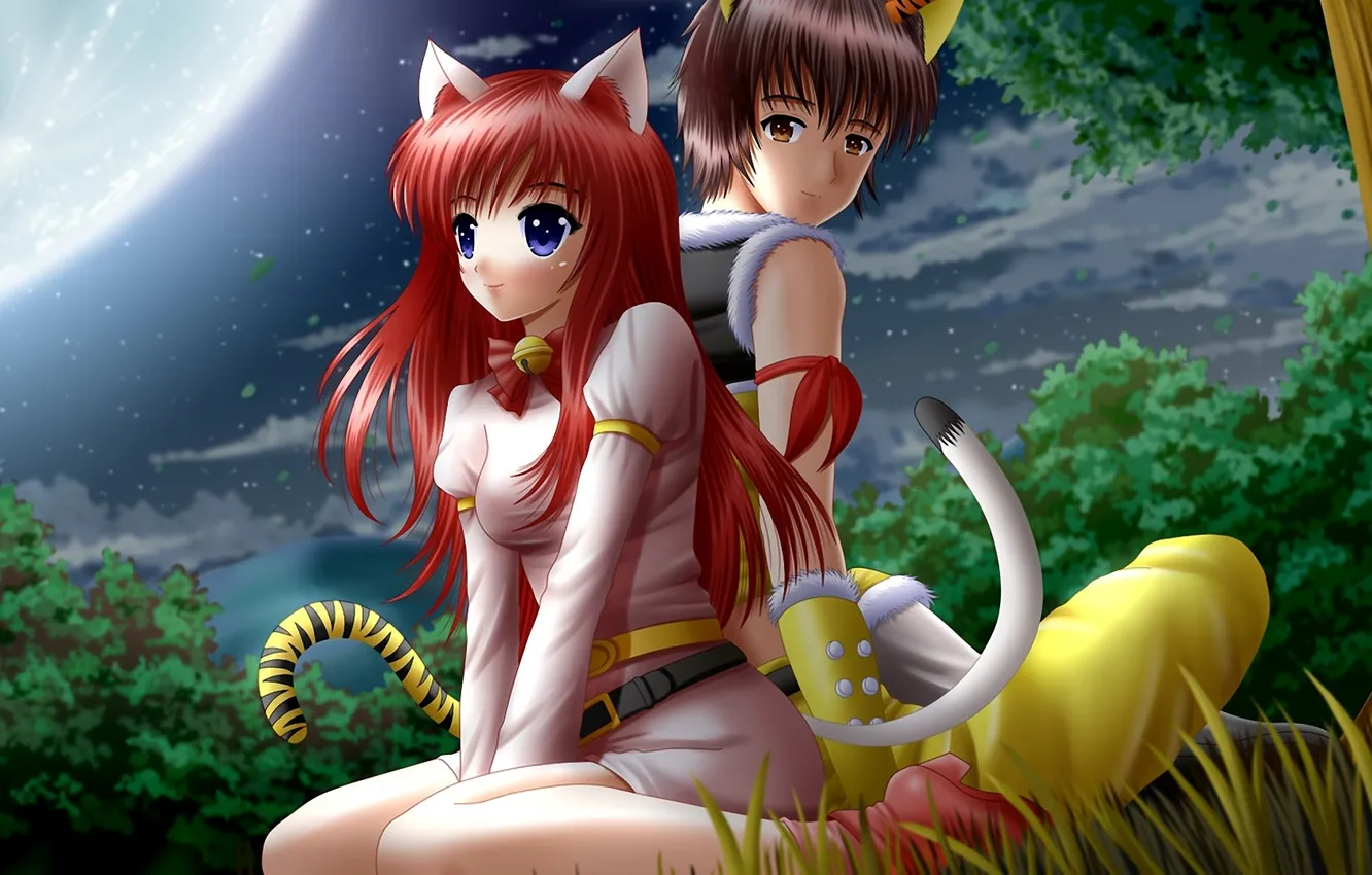 Photo wallpaper girl, night, the moon, art, tail, guy, ears, two