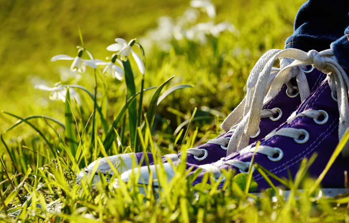 Photo wallpaper macro, flowers, sneakers