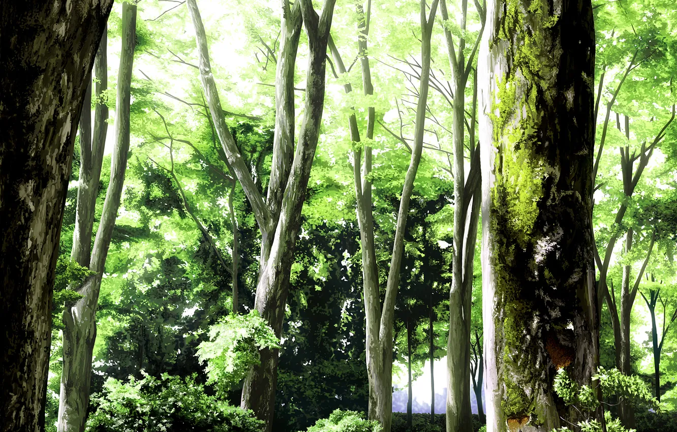 Photo wallpaper forest, trees, nature, foliage, moss, art, painting, upscale