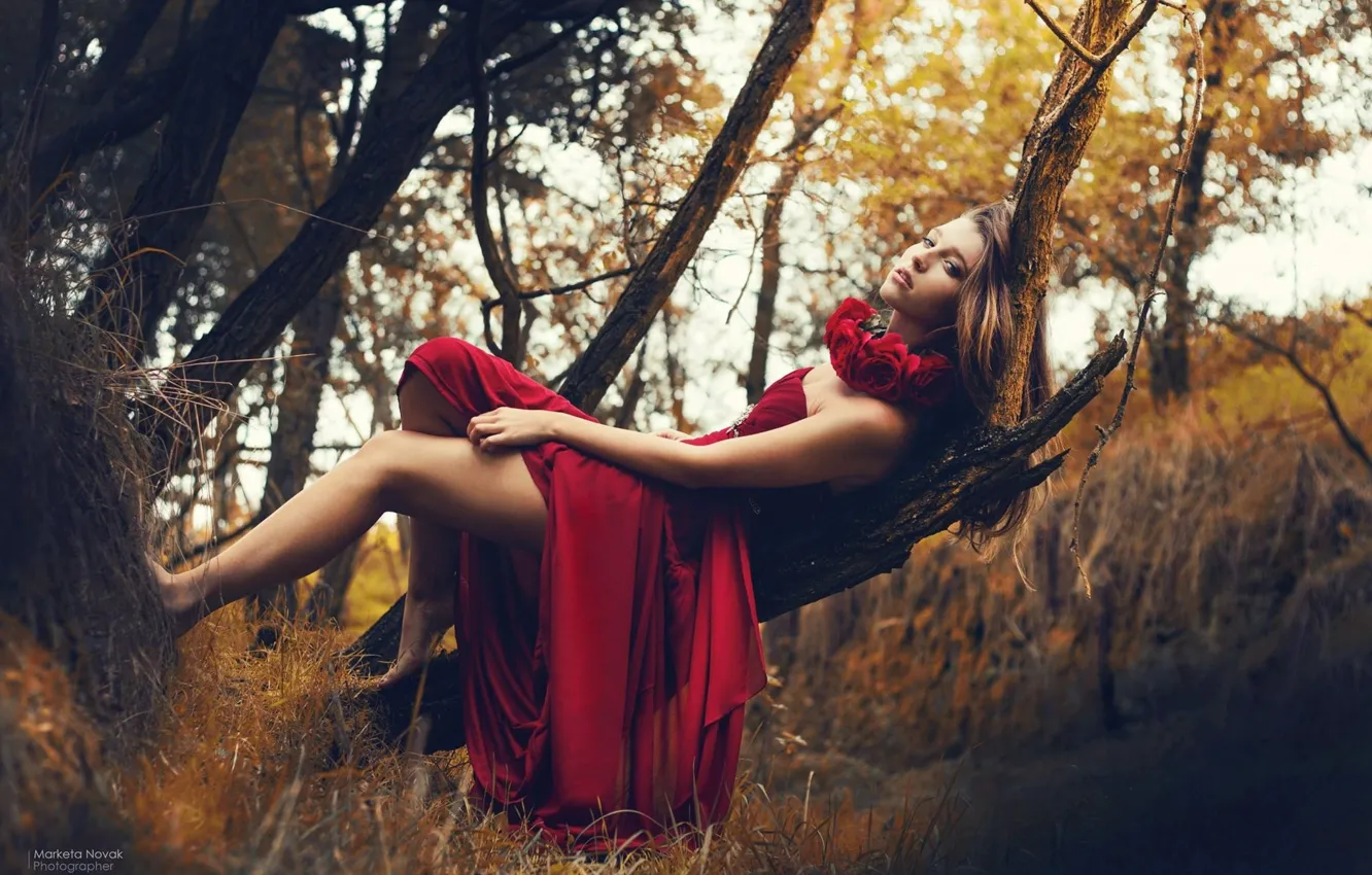 Photo wallpaper red, girl, dress, nature, model, women, Kristyna Valouskova