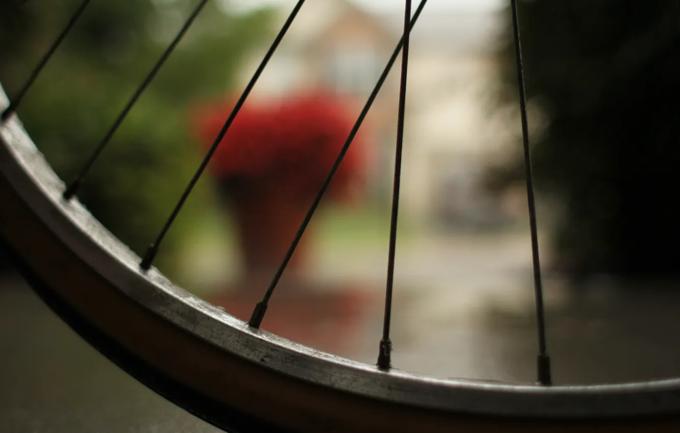 Photo wallpaper macro, bike, wheel, spokes, bicycle, macro, bokeh, bokeh effect
