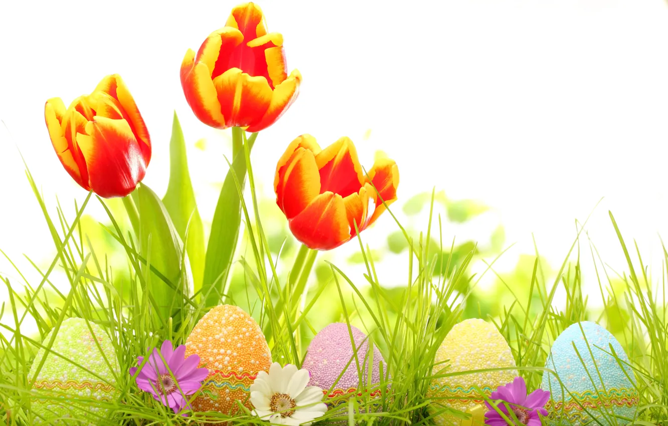Photo wallpaper grass, flowers, eggs, spring, Easter, tulips