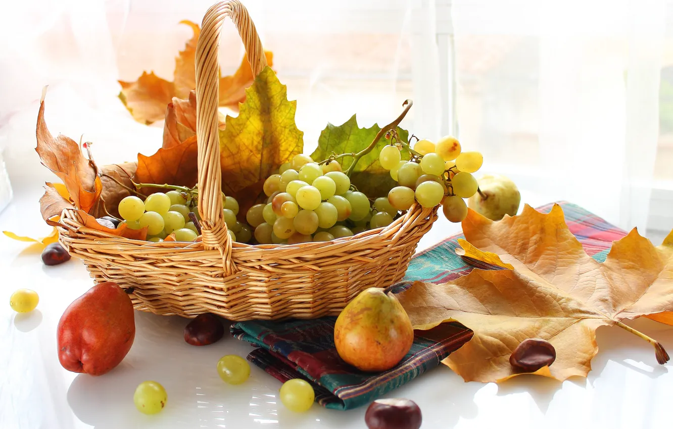 Photo wallpaper autumn, leaves, berries, basket, grapes, fruit, pear
