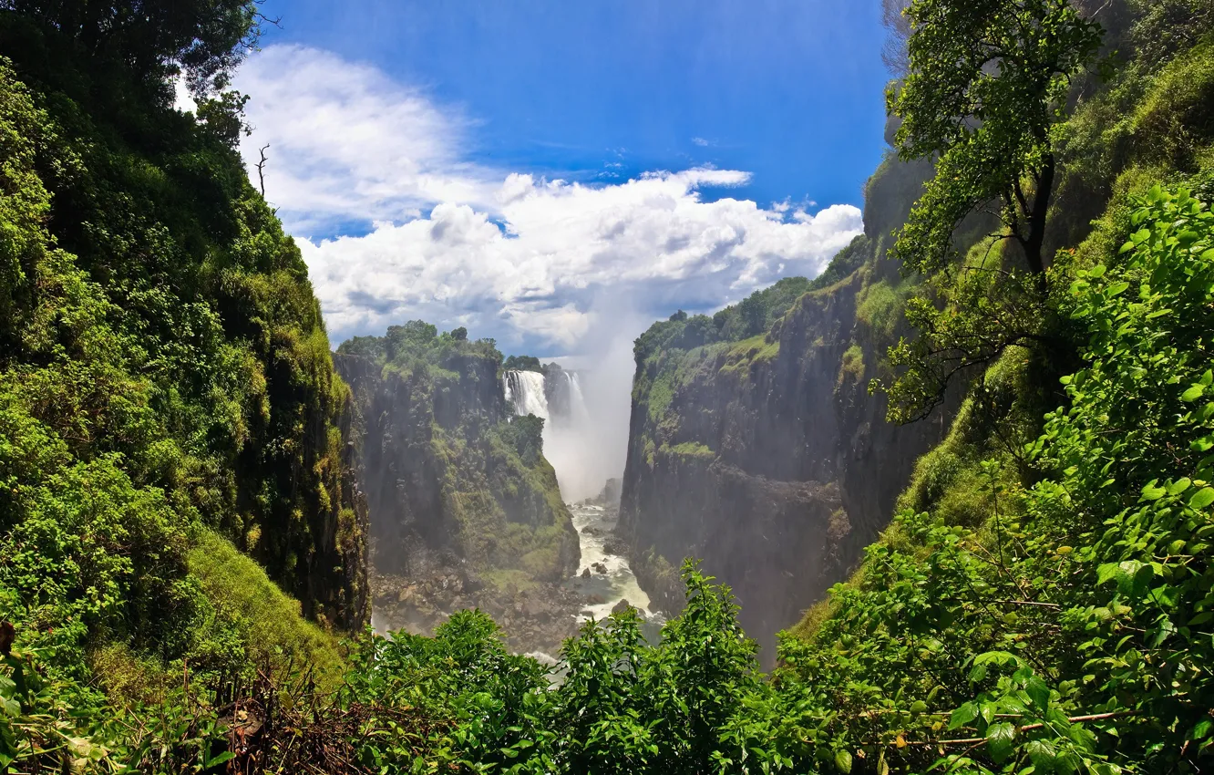 Photo wallpaper greens, grass, leaves, clouds, trees, mountains, river