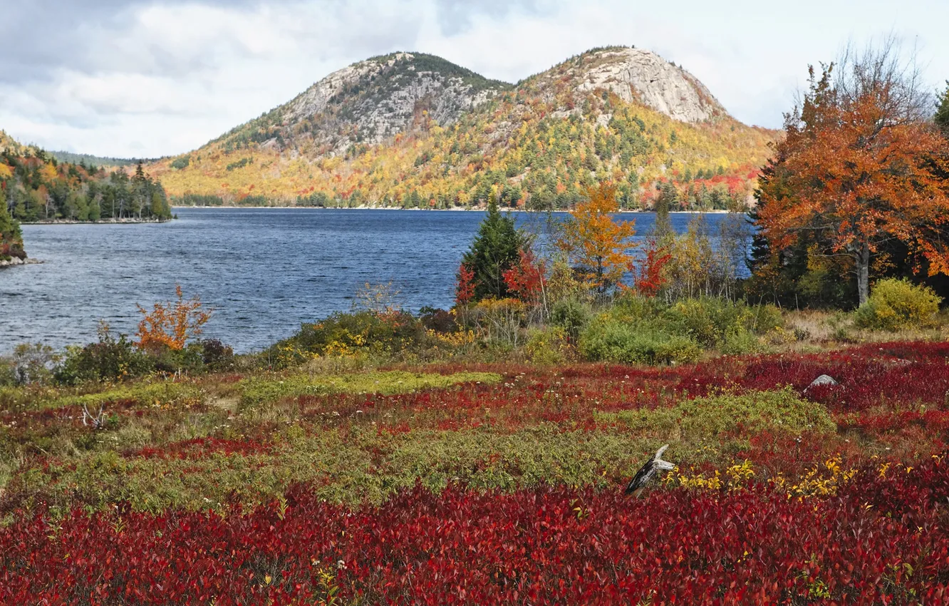 Photo wallpaper autumn, grass, trees, mountains, lake, USA, the bushes, Acadia National Park