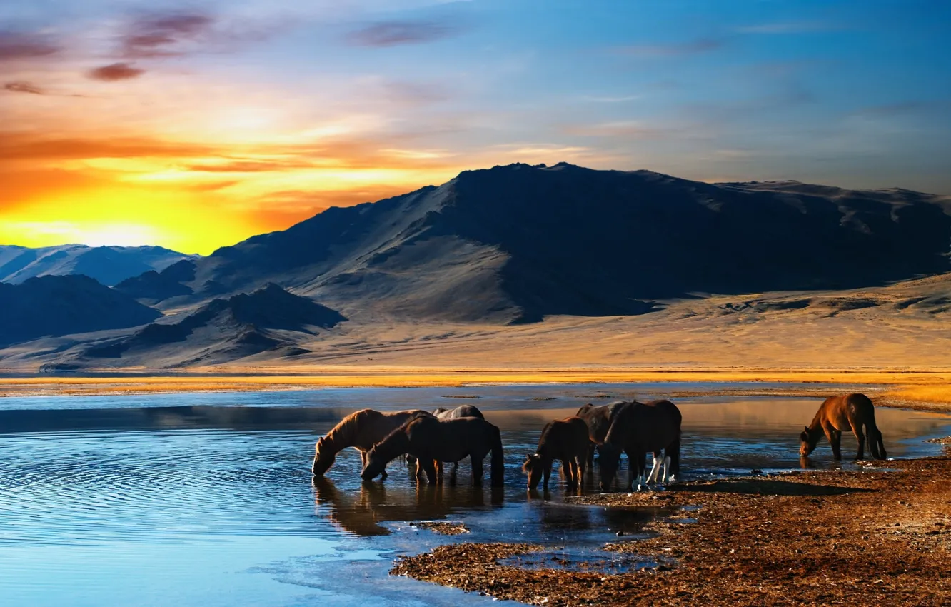 Photo wallpaper the sky, mountains, horse, horizon, drink, pond, ridge