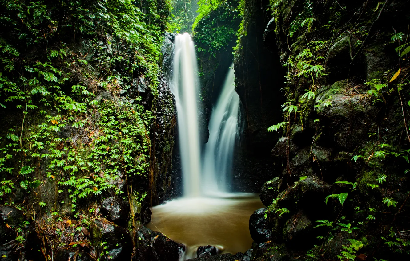 Photo wallpaper forest, nature, rocks, waterfall, beauty, forest, nature, rocks