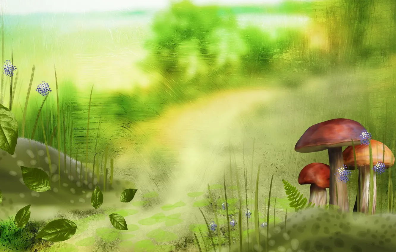 Photo wallpaper greens, summer, grass, leaves, background, figure, mushrooms
