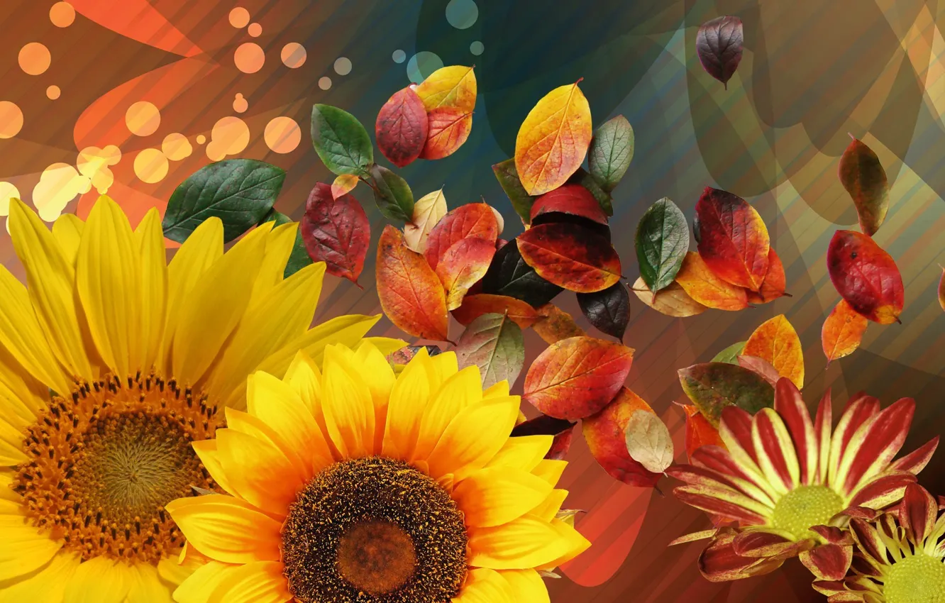 Photo wallpaper autumn, leaves, flowers, collage