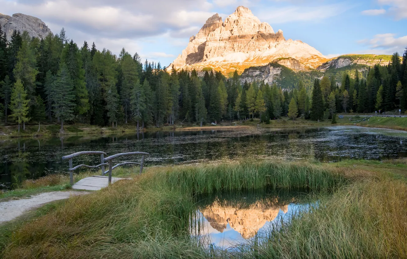 Photo wallpaper forest, grass, mountains, lake, reflection, rocks, shore, ate