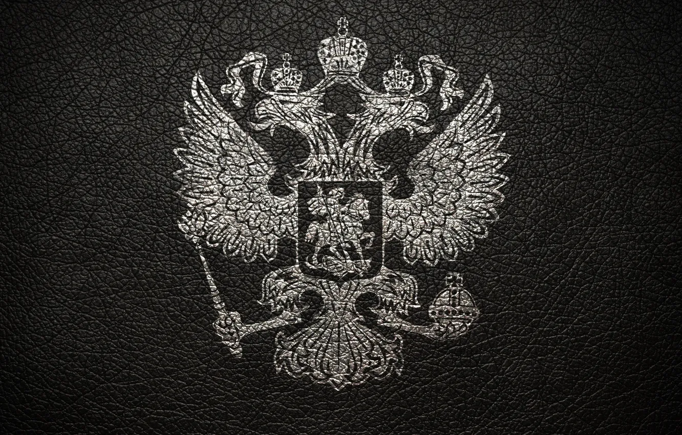 Photo wallpaper grey, leather, coat of arms, Russia