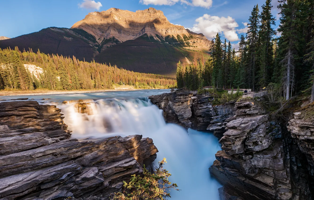 Photo wallpaper forest, the sky, clouds, light, trees, mountains, river, stones