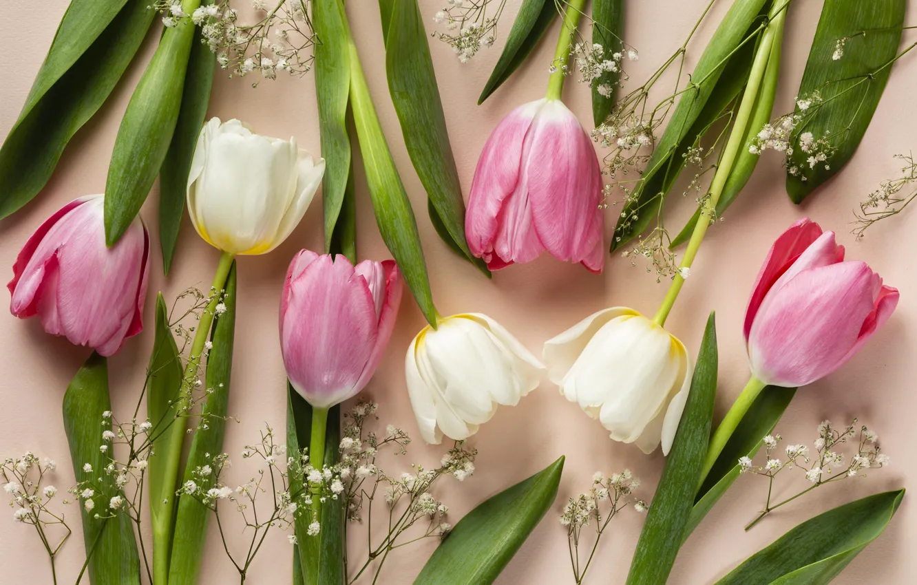 Photo wallpaper leaves, flowers, sprig, bouquet, spring, tulips, pink, white