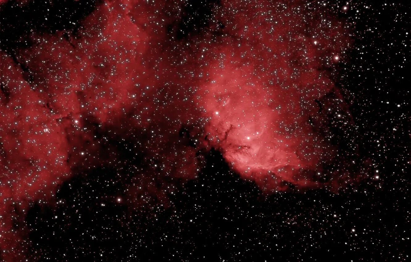 Photo wallpaper space, nebula, emission, Tulip Nebula