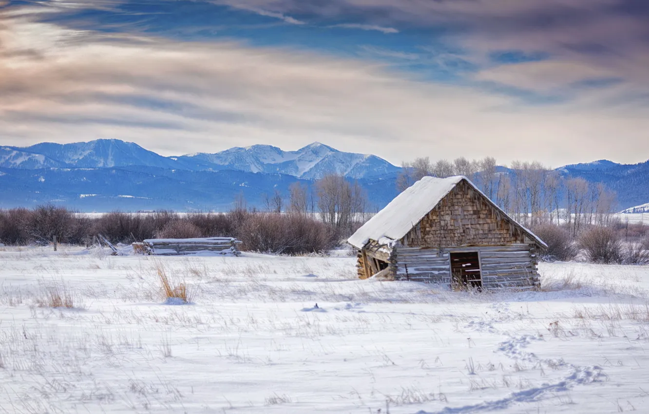 Photo wallpaper Day, winter, cold