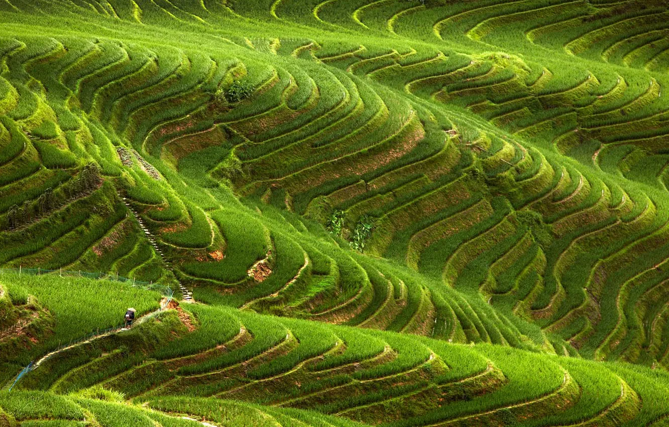 Photo wallpaper hills, Asia, national geographic