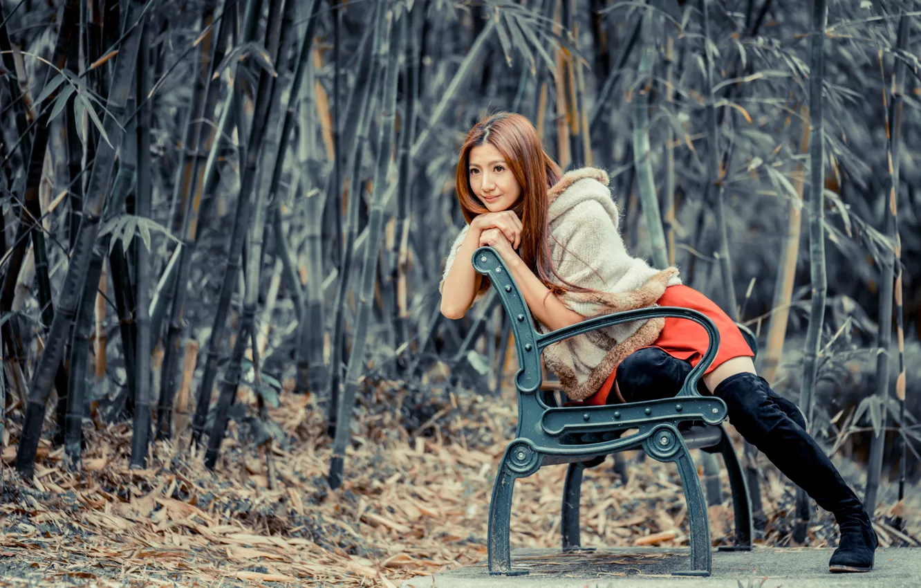 Photo wallpaper girl, Asian, bench
