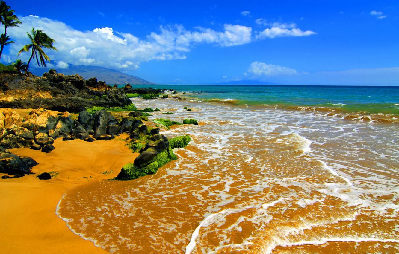 Photo wallpaper beach, stones, palm trees, the ocean, Hawaii, Maui, Big Beach