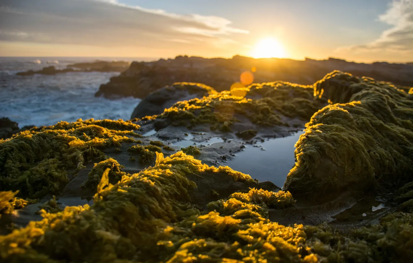 Photo wallpaper waves, sky, sea, landscape, coast, nature, sunset, tilt shift