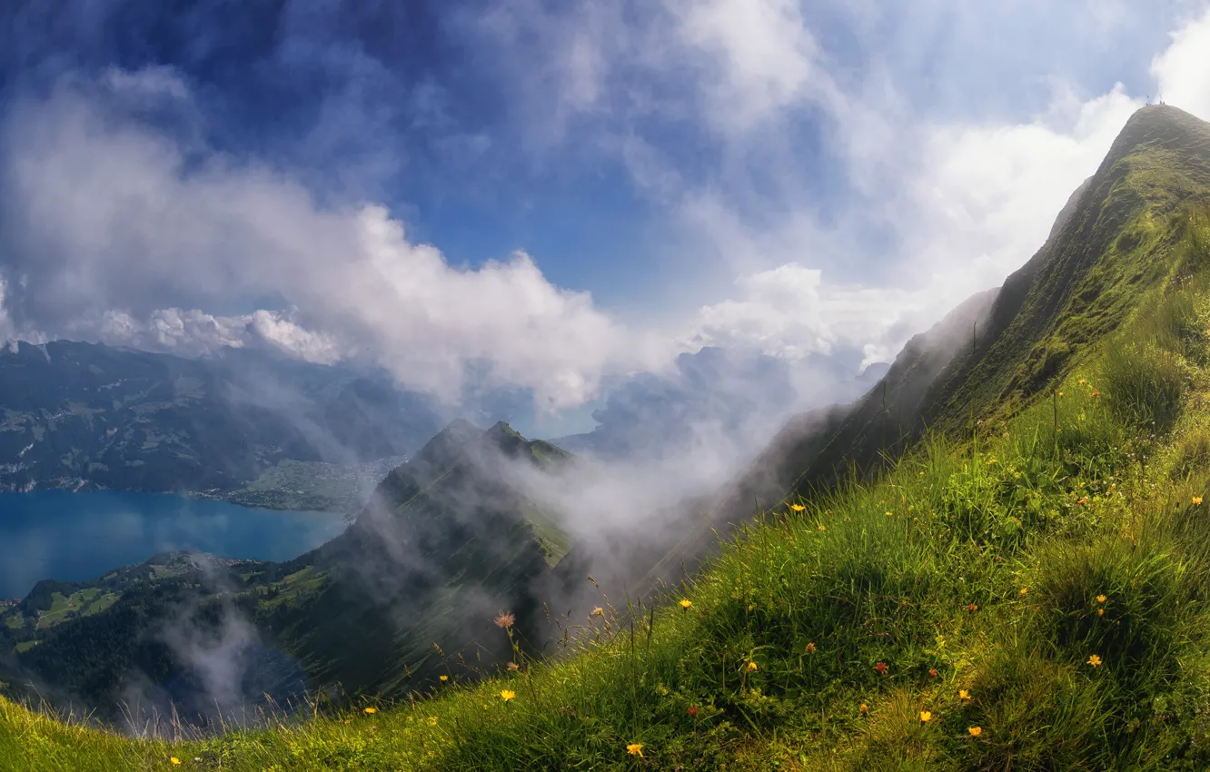 Photo wallpaper greens, summer, the sky, grass, clouds, flowers, mountains, fog
