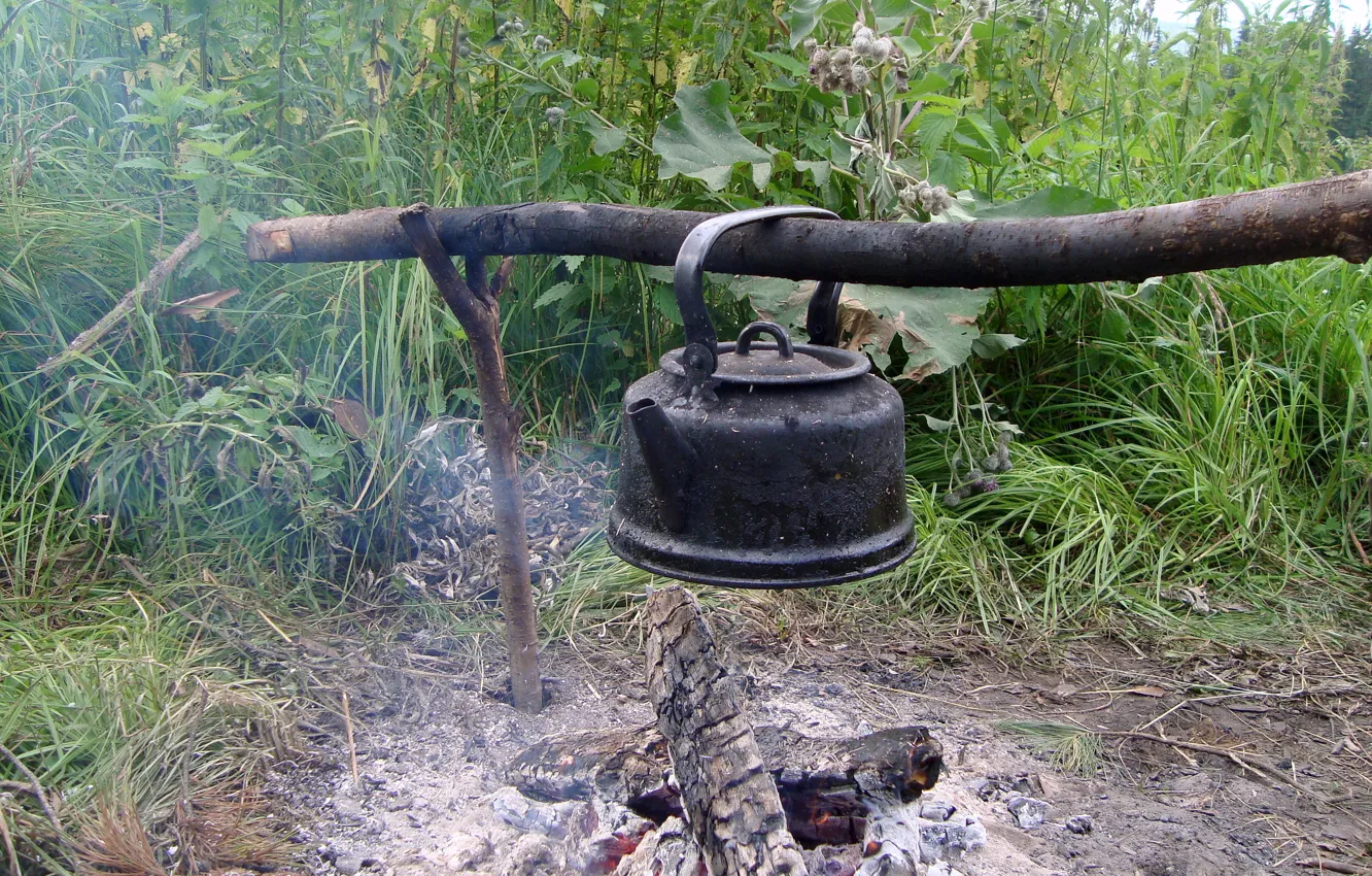 Photo wallpaper tea, the fire, taiga