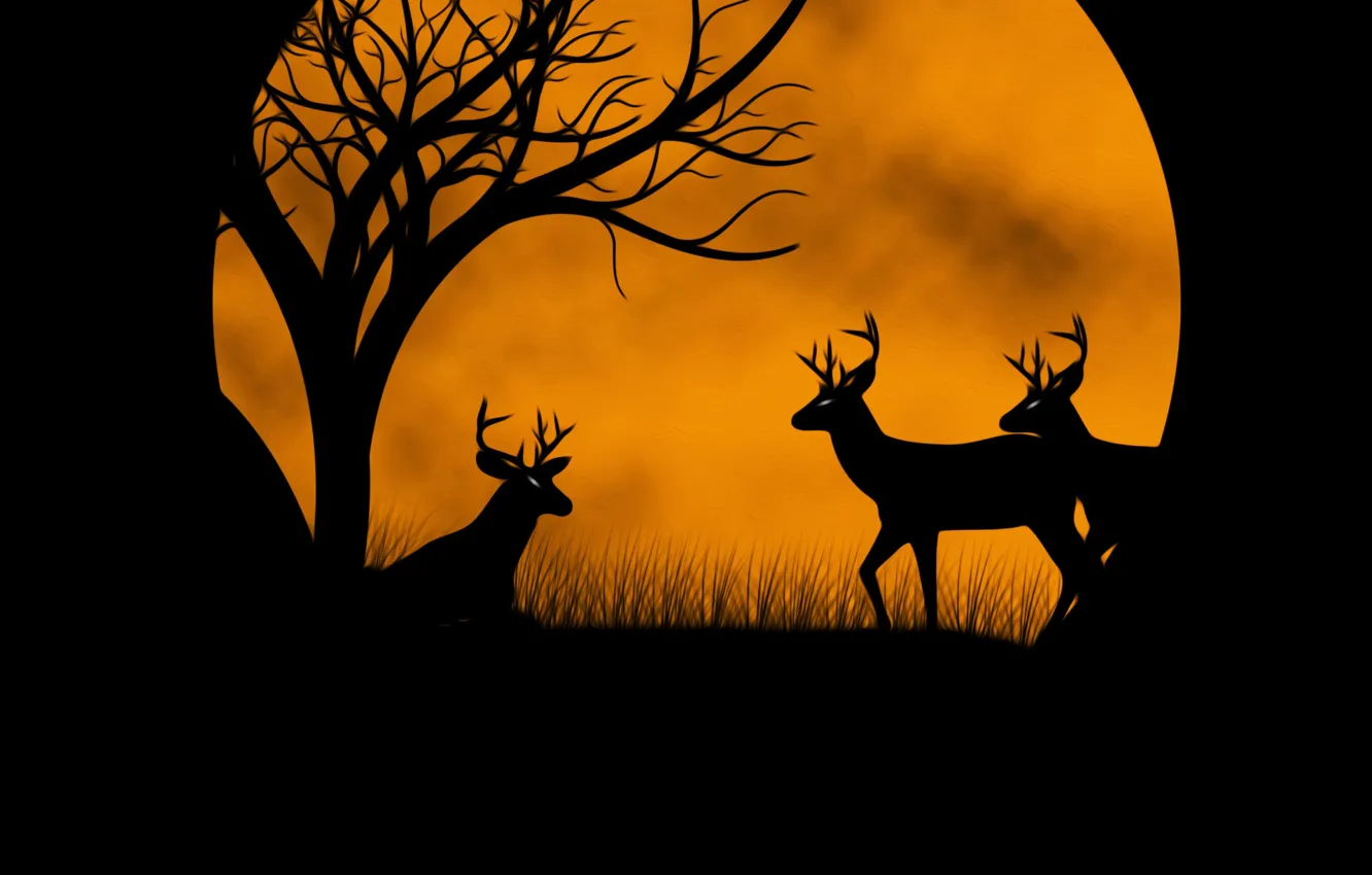 Photo wallpaper the moon, deer, picture