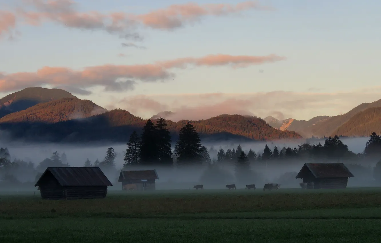 Photo wallpaper field, forest, the sky, clouds, light, mountains, fog, hills