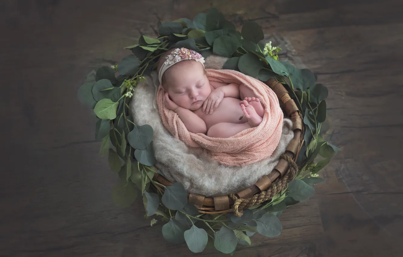 Photo wallpaper sleep, girl, basket, baby, wreath