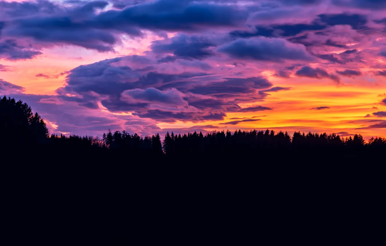 Photo wallpaper forest, clouds, sunset, glow