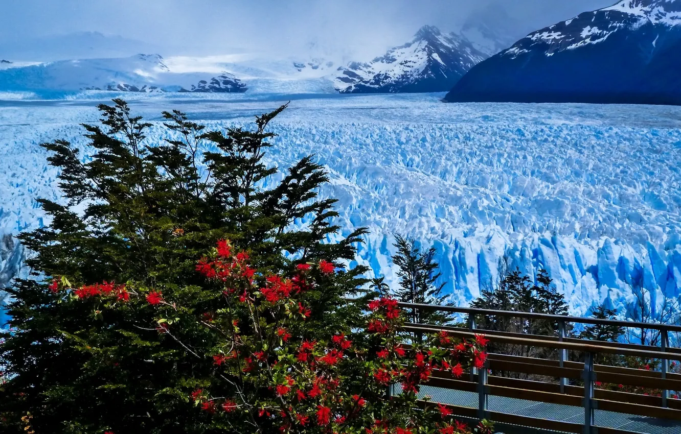 Photo wallpaper mountains, bridge, glacier, Argentina, Argentina, Andes, Patagonia, Patagonia