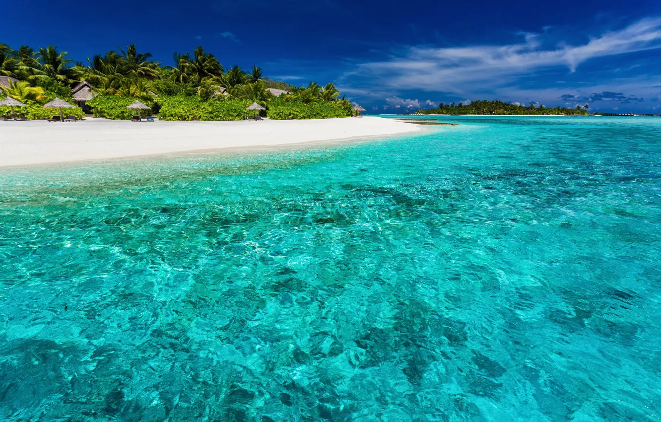 Photo wallpaper sea, beach, summer, tropics, palm trees, stay