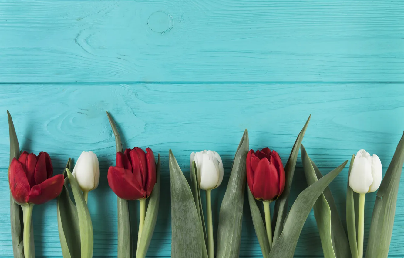 Photo wallpaper flowers, tulips, red, red, white, white, wood, flowers