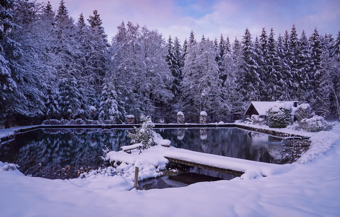 Photo wallpaper winter, forest, snow, lake, house, pond