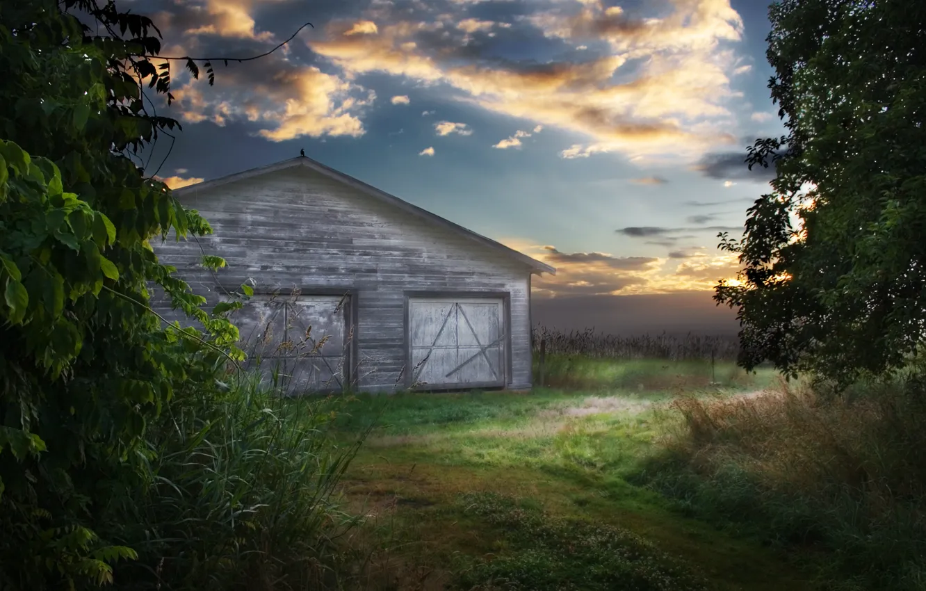 Photo wallpaper field, the sky, The barn, crow