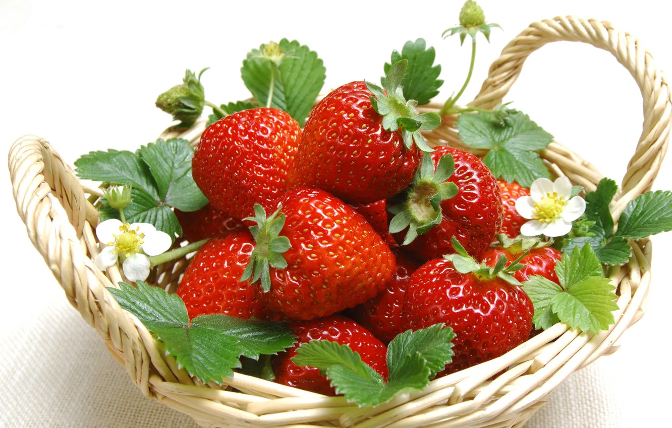 Photo wallpaper rojo, strawberries, leaves, canasta
