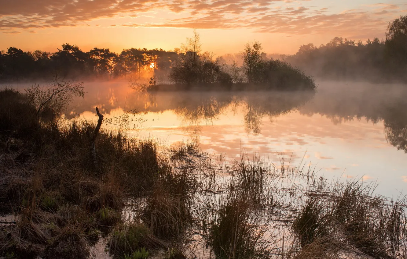 Photo wallpaper landscape, sunset, fog, lake