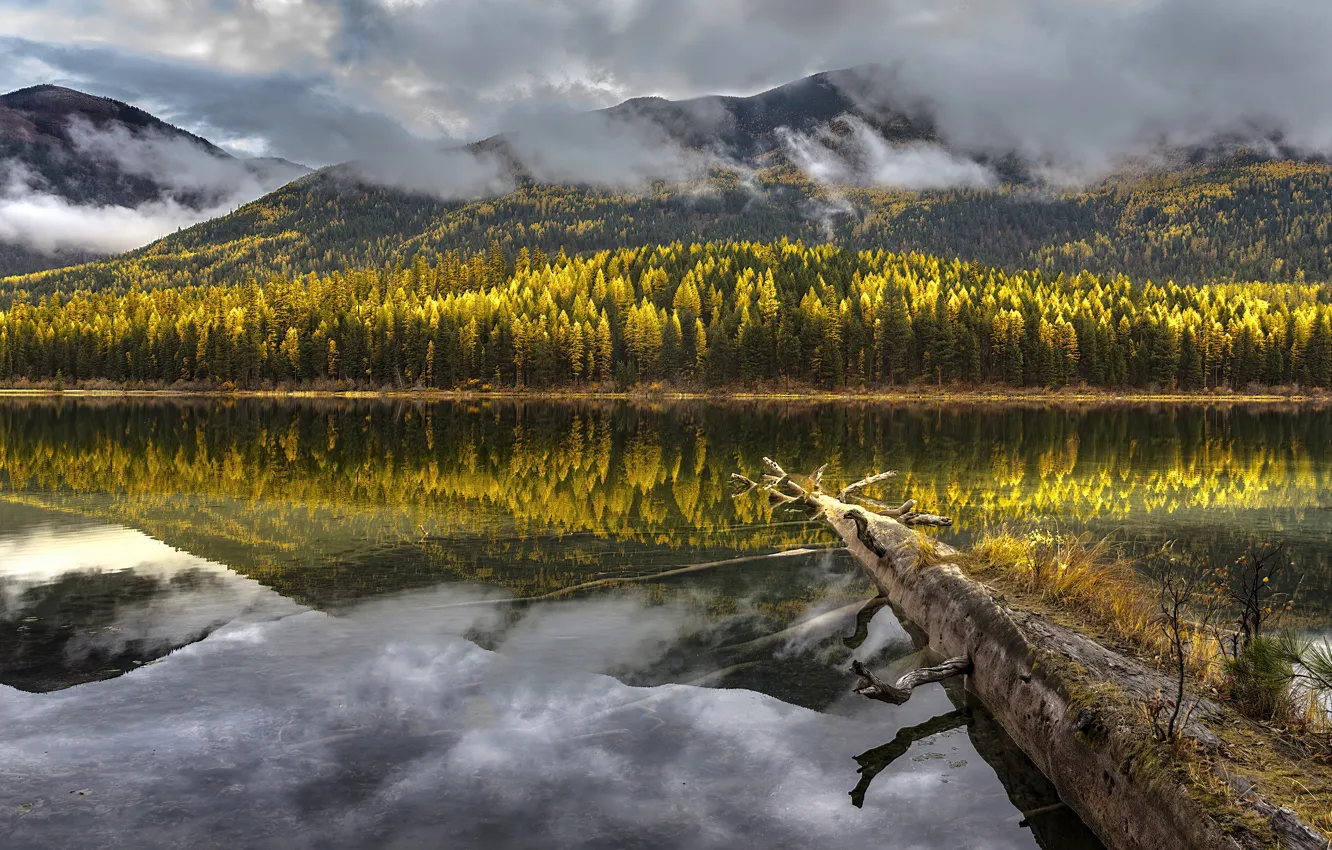 Photo wallpaper autumn, forest, mountains, fog, reflection, shore, haze, log