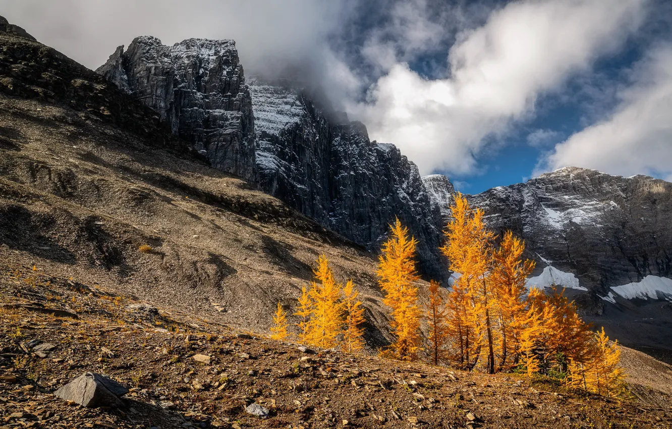 Photo wallpaper autumn, the sky, mountains