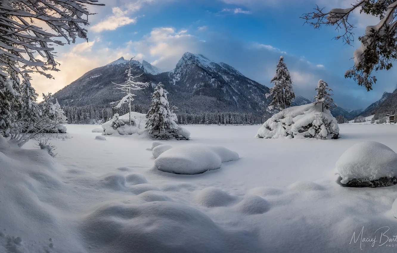 Photo wallpaper winter, forest, the sky, snow, mountains, Germany, Bayern, frost
