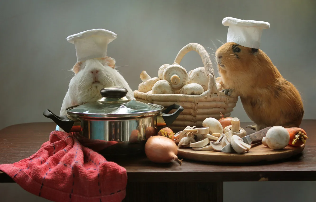 Photo wallpaper basket, mushrooms, bow, pan, cap, rodent, mushrooms, Guinea pigs