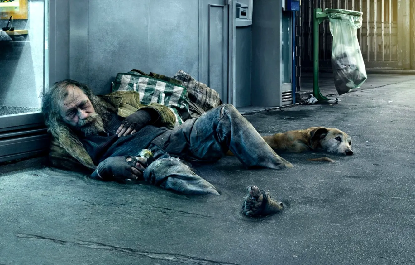 Photo wallpaper street, people, dog, homeless, beggar