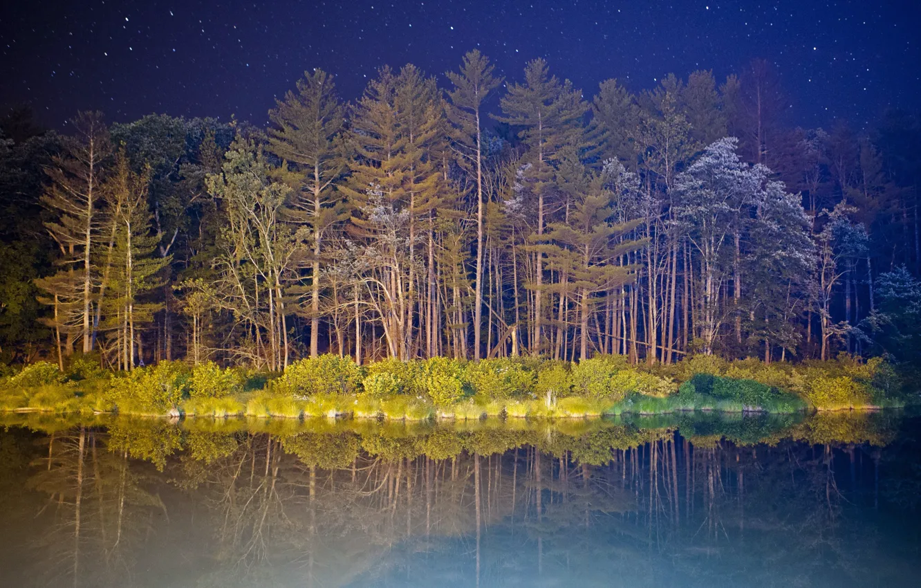 Photo wallpaper the sky, water, stars, light, trees, night, lake, reflection