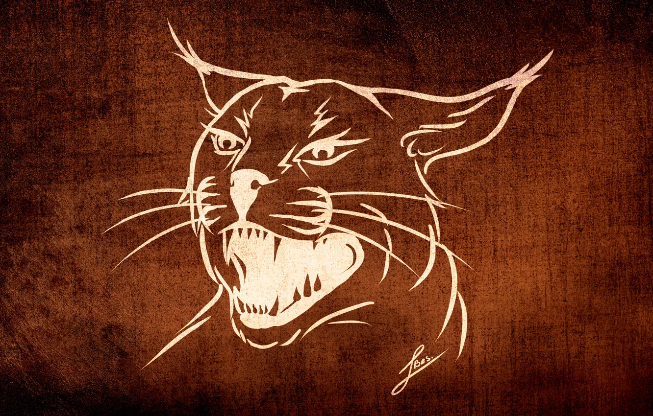 Photo wallpaper cat, background, animal, Wallpaper, figure, texture, styling, lynx